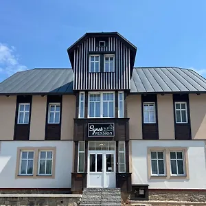 Aparthotel Synek ****