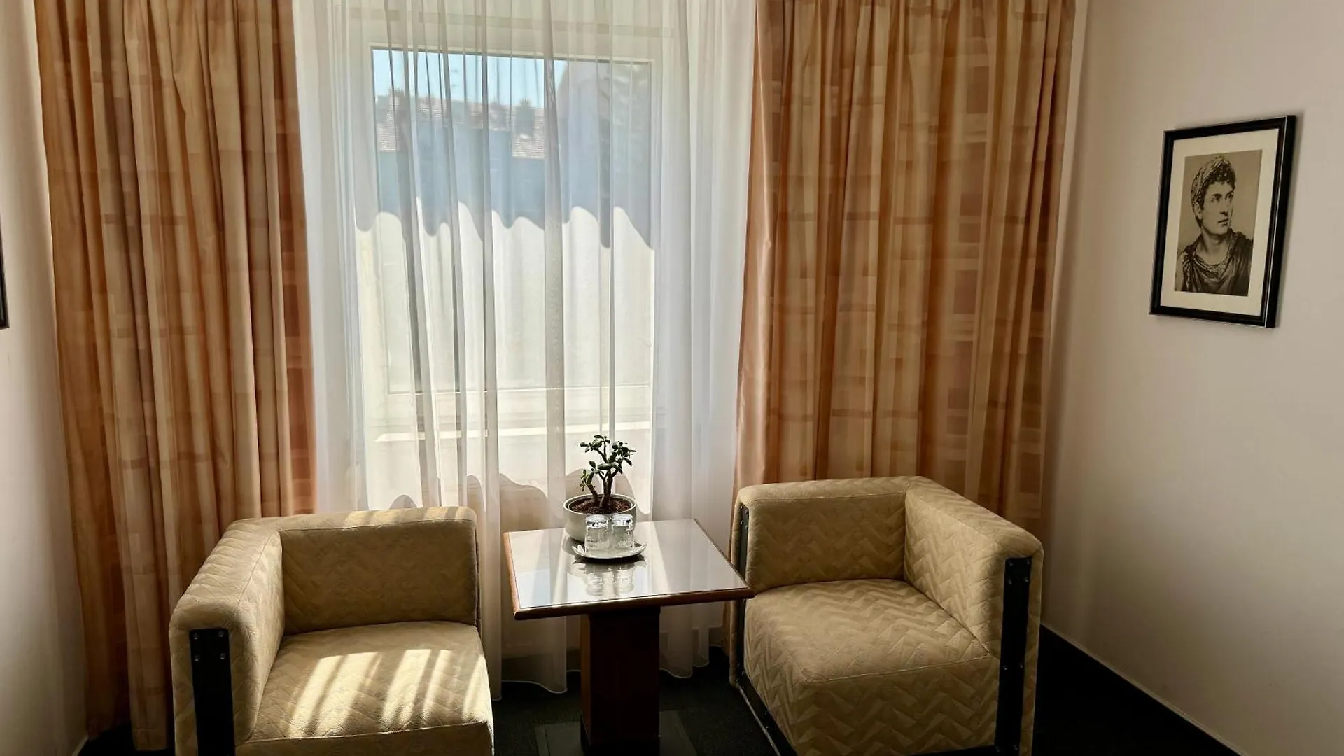 A-Austerlitz Hotel Brno Česká republika